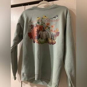 Hanes Simply Blessed Sage Green Women's Sweater